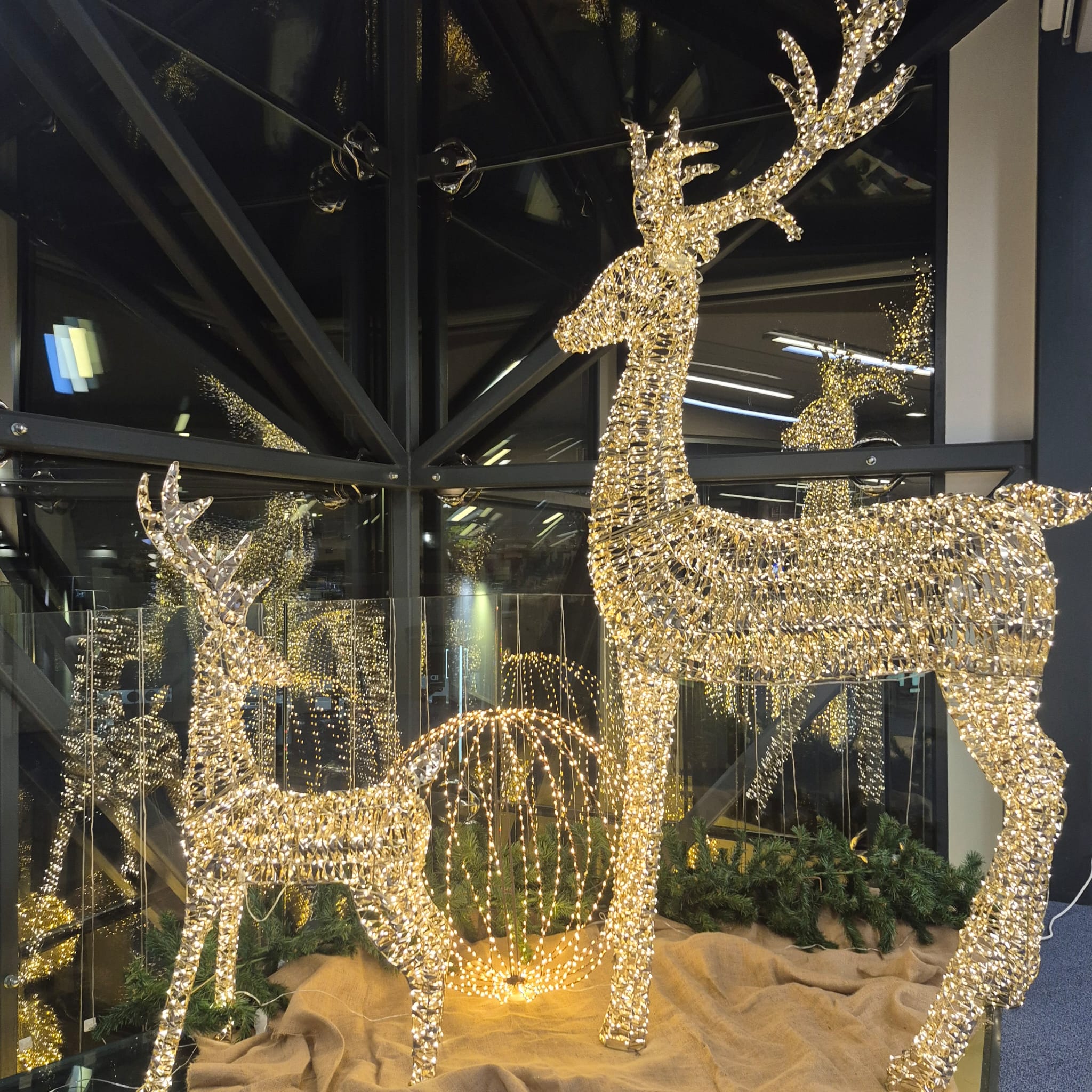 Natale Polare